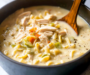 Creamy Chicken Leek and Pasta Soup: Comfort in a Bowl